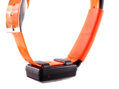 Obojek pro dalšího psa DOG GPS X30