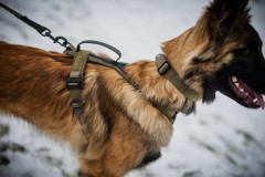 Solid adjustable collar WD (6)