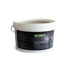 Energetický doplněk stravy MAMUT Recovery Drink